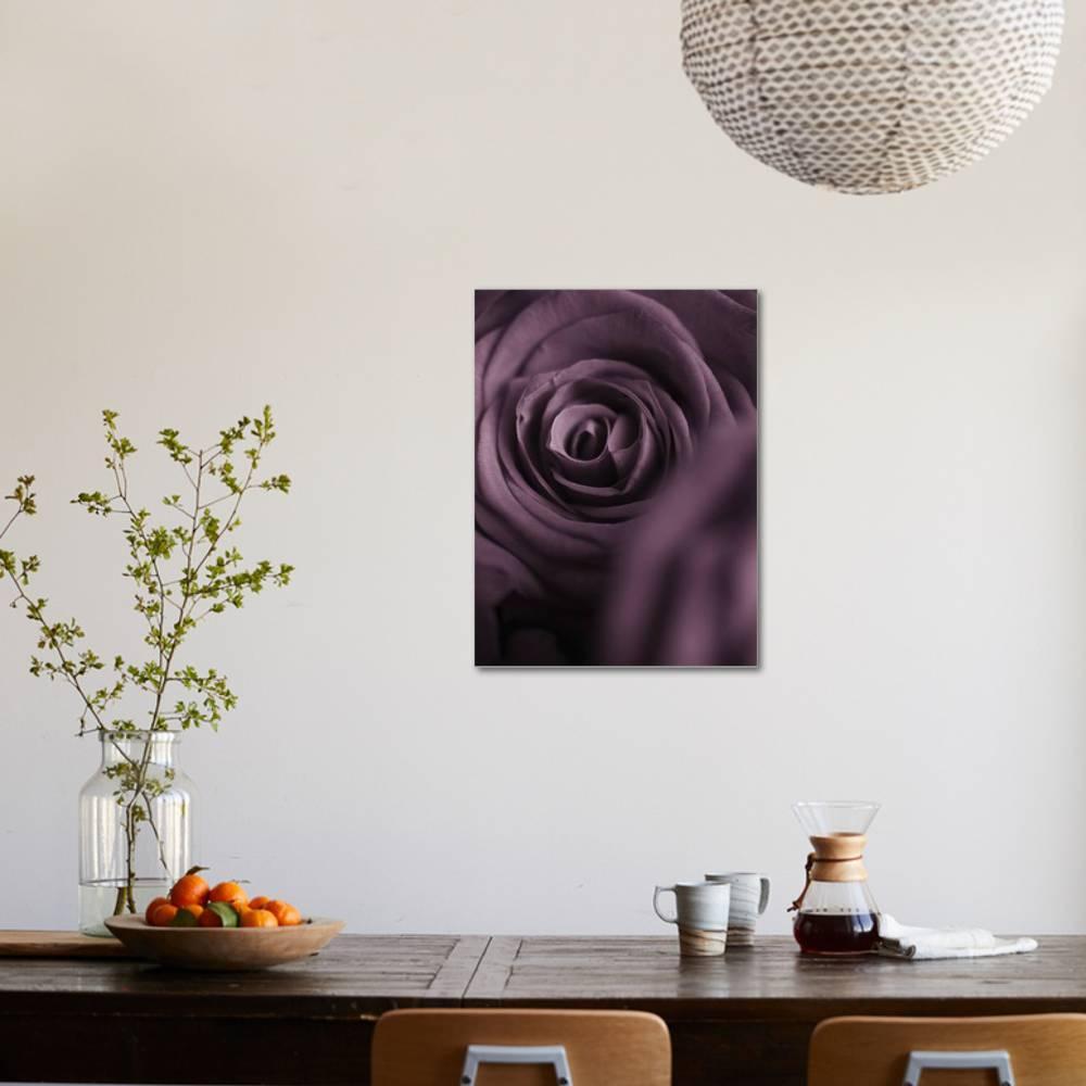 Deep Purple Rose， Botanical Stretched Canvas Wall Art by Clive Nichols Sold by ArtCom