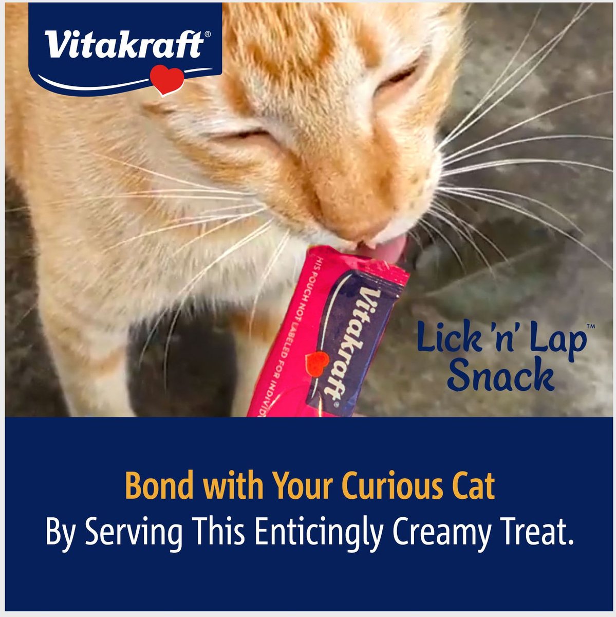 Vitakraft Lick 'n' Lap Creamy Salmon Low Calorie Interactive Wet Cat Treat， 0.42-oz tube， case of 20