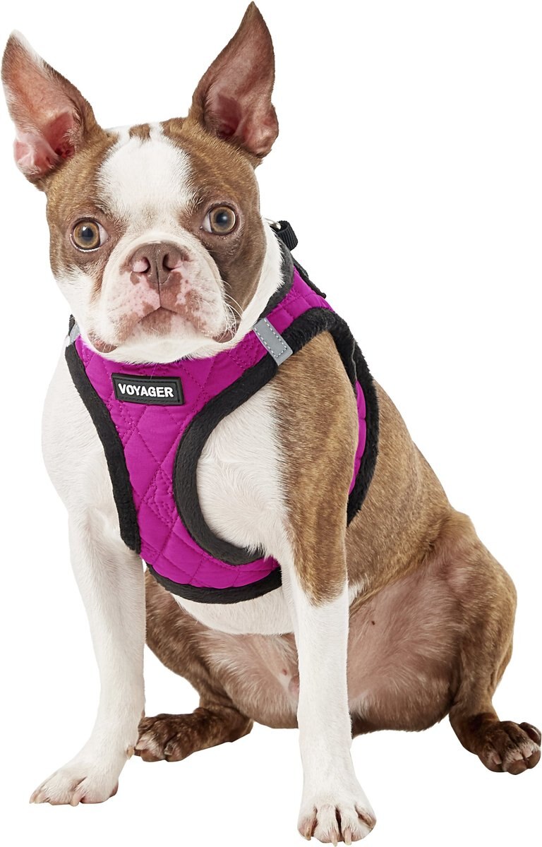 Best Pet Supplies Voyager Padded Fleece Dog Harness