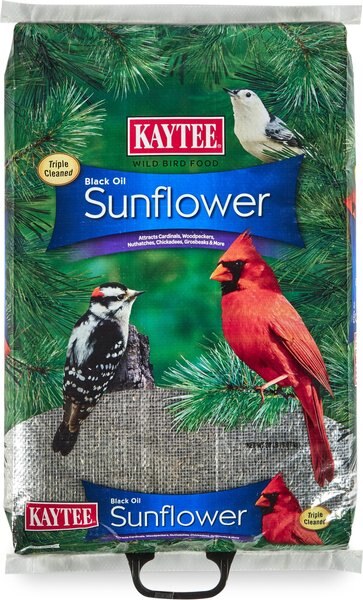 Kaytee Black Oil Sunflower Bird Food