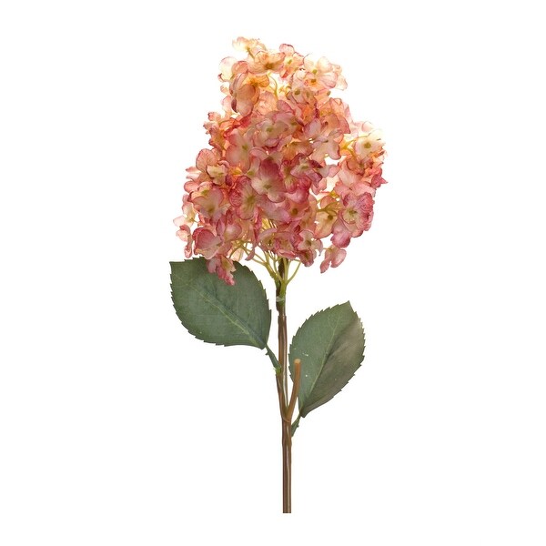 Cone Hydrangea Stem (Set of 6)