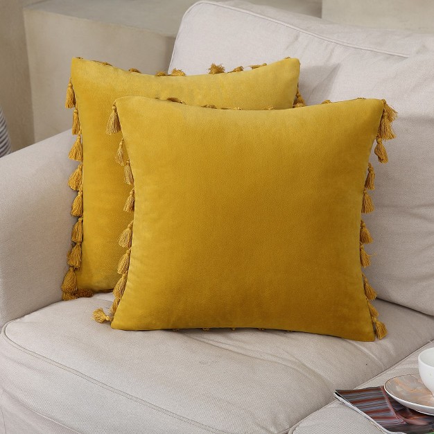 2 Pieces Tassels Velvet Throw Pillow Covers