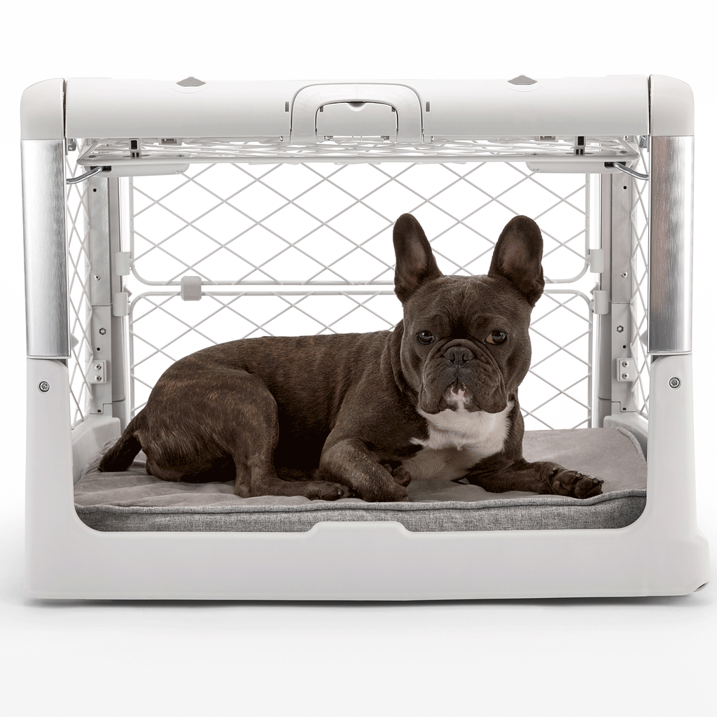 Diggs Revol Collapsible Dog Crate - Ash