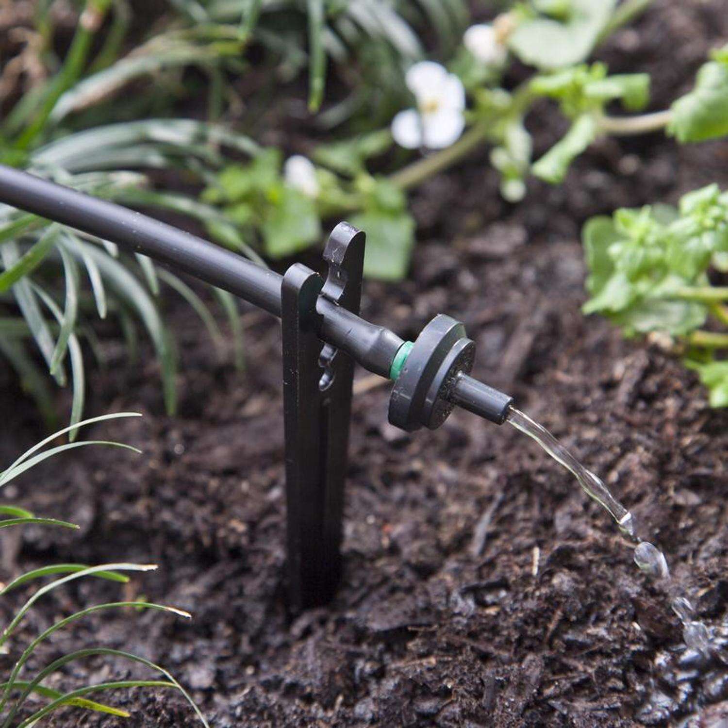 Raindrip Spot Drip Irrigation Dripper 2 gph 10 pk