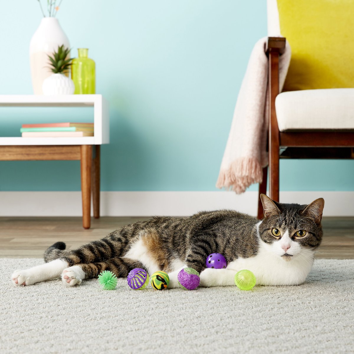 OurPets Rollin N Fun Cat Toy