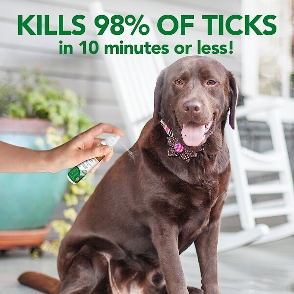 Vet's Best Tick Killing Tick Treatment Dog Spray， 1-oz bottle