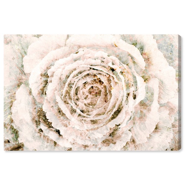 X 15 quot Brown Winter Flower Floral And Botanical Unframed Canvas Wall Art In White Oliver Gal