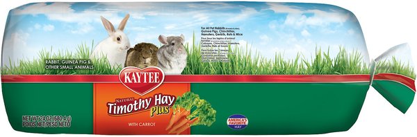 Kaytee Timothy Hay Plus Carrots Small Animal Treat