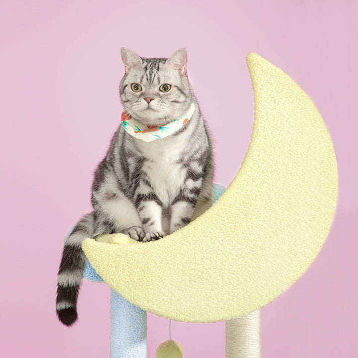 Happy and Polly 55” Multilevel Cat Tree with Hammock and Scratching Post Tower， Starry Sky Cat Tree for All Breed Cats， Blue Pink