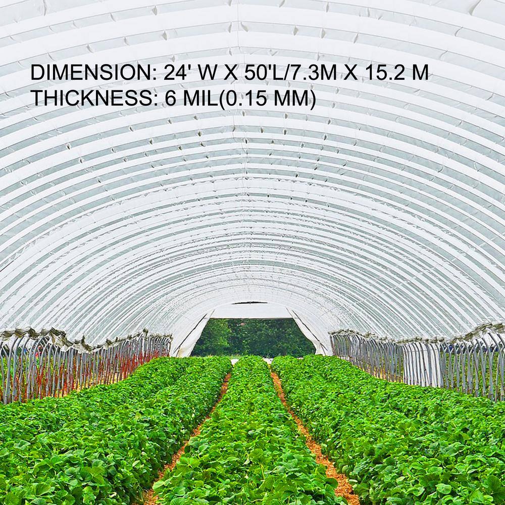 VEVOR Greenhouse Film 24 ft. x 50 ft. 6 Mil Thickness Corrosion and Tear Resistant Clear Polyethylene Film for Construction PEWSM2450FT000001V0