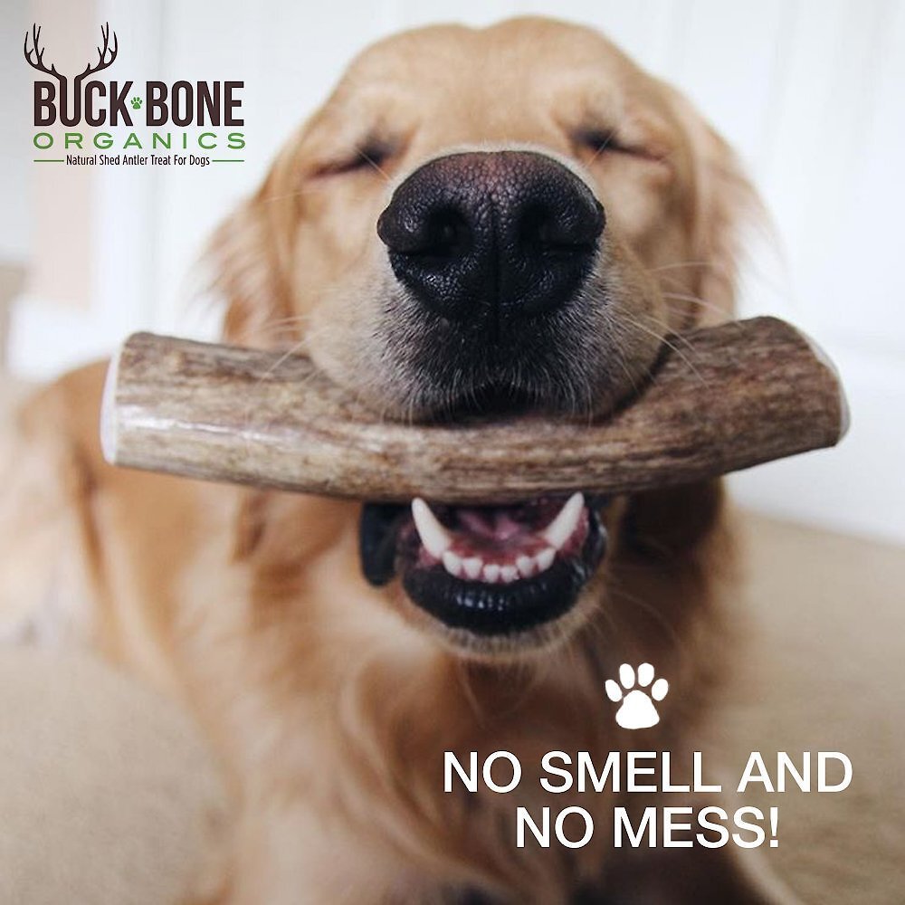 Buck Bone Organics Split Elk Antler Dog Chews， 6 - 7 in