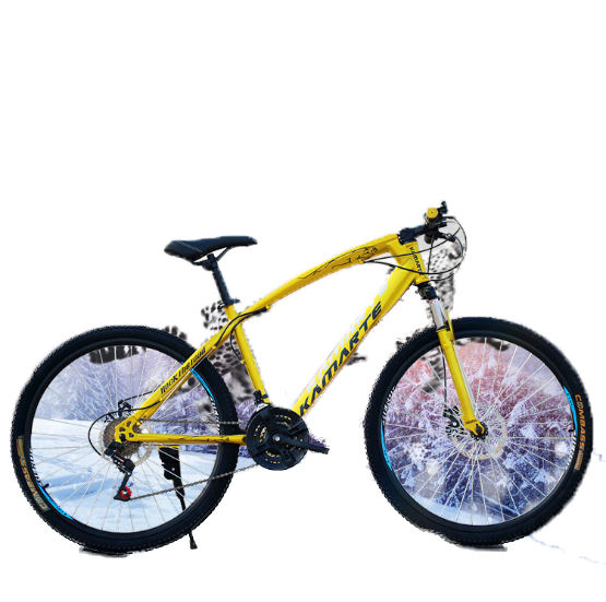 2020 New design Professional OEM ODM design custom brand alloy frame 26'' china beach cruiser cycling fat bike