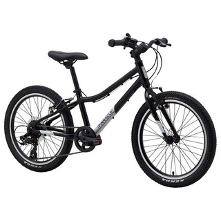 Pinnacle Ash 20 Inch Kids Bike