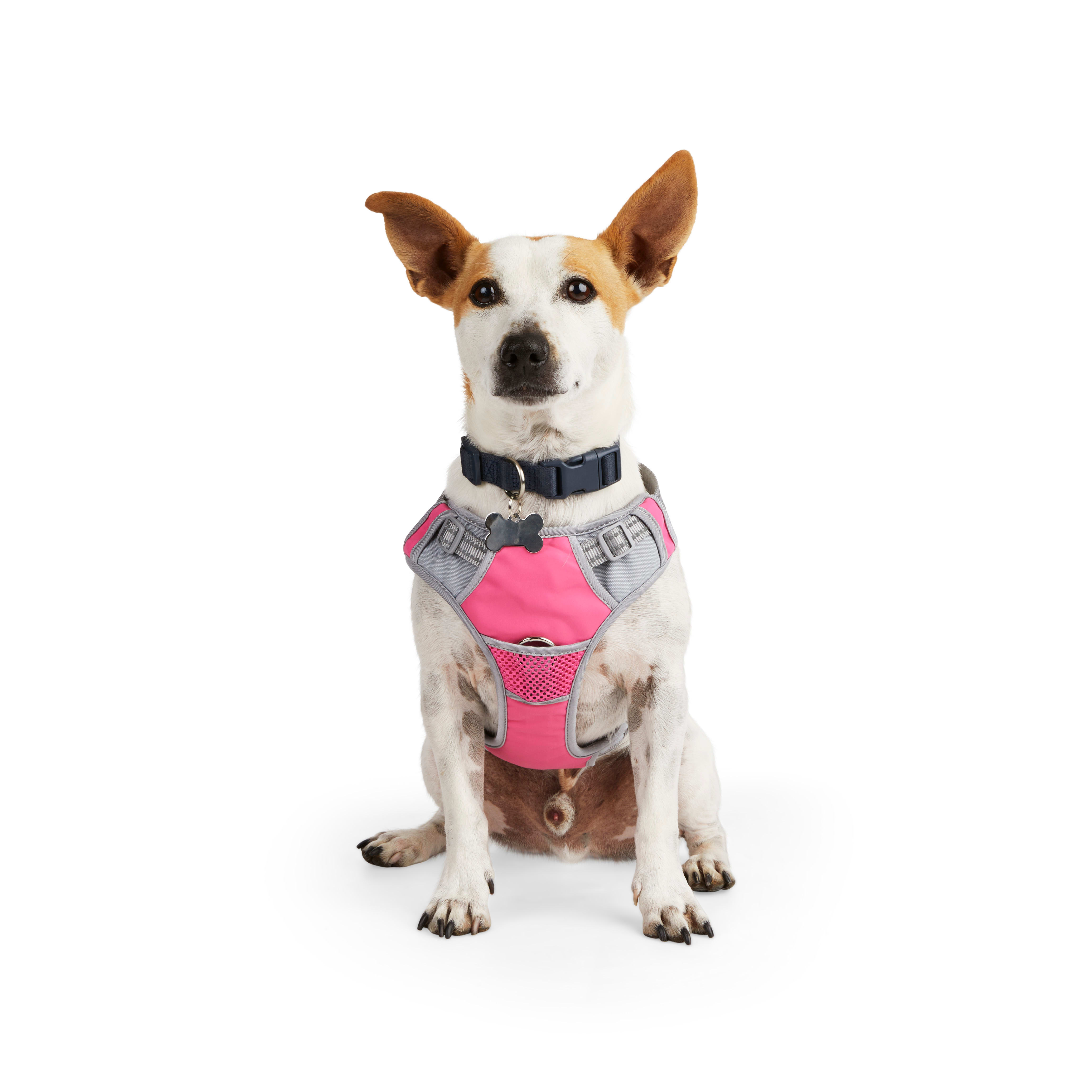 EveryYay Embrace the Pace Pink Reflective Dog Harness， X-Small