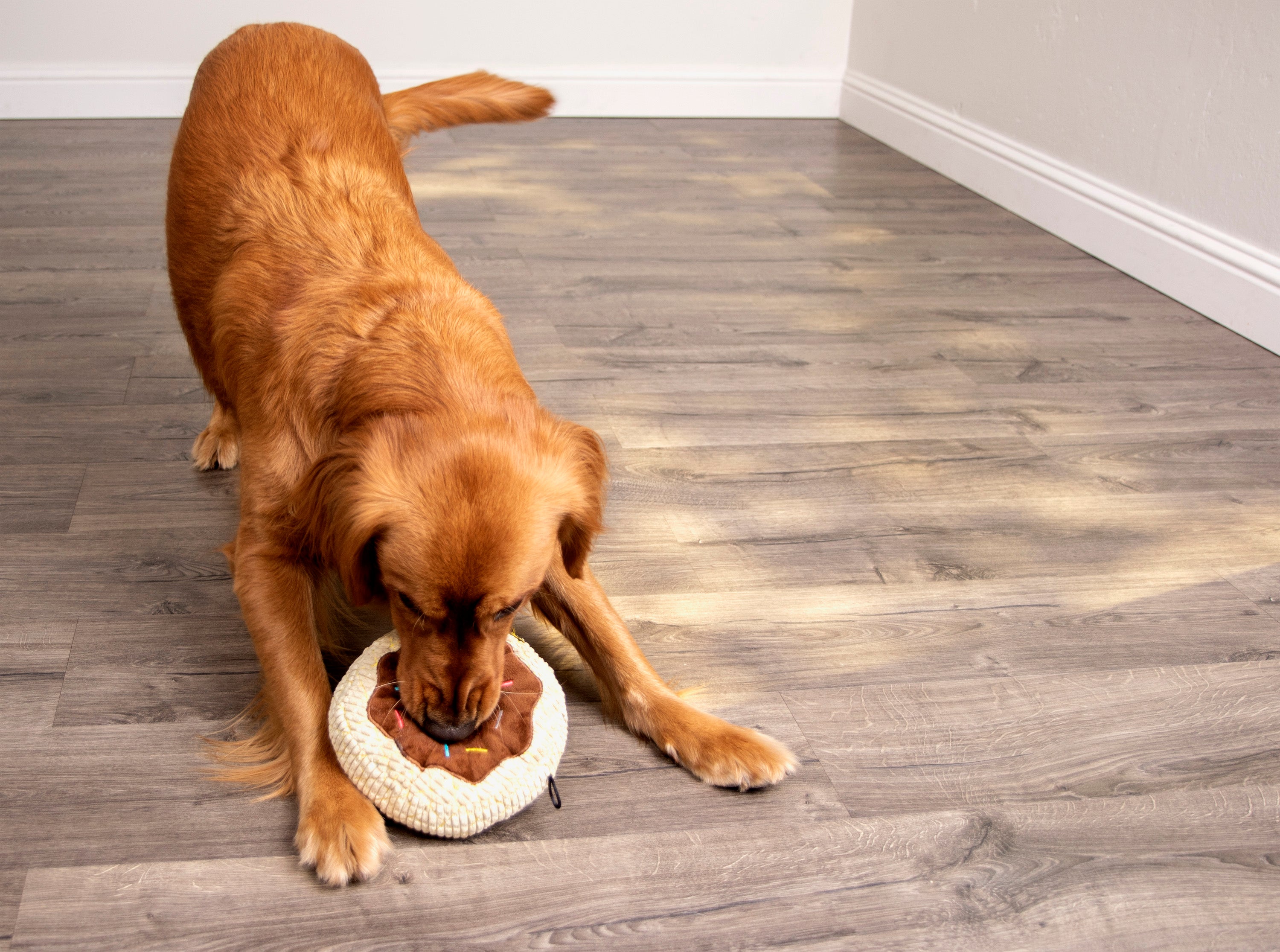 TrustyPup Tough 'N Fun Chocolate Donut Durable Plush Squeaker Dog Toy with Chew Guard Technology， Brown， Large