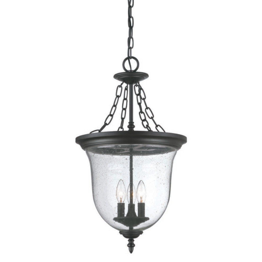 Belle 3 Light Matte black Hanging light   Traditional   Outdoor Hanging Lights   by 1STOPlighting  Houzz