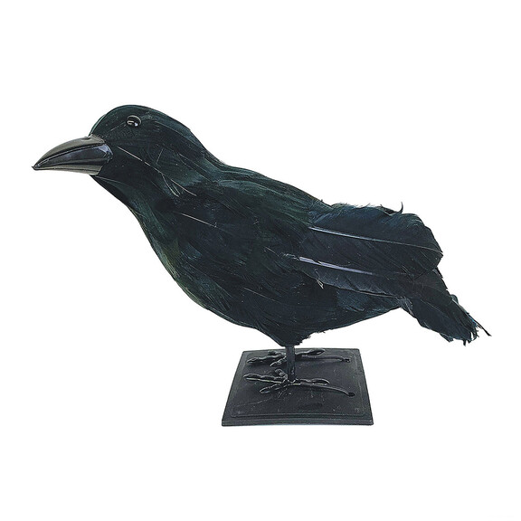 Sunstar SS06349 Black Raven Halloween Decoration