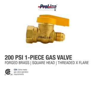 ProLine Series 38 in. x 12 in. Brass FL x FPT 1-Piece Gas Valve 114-522HN