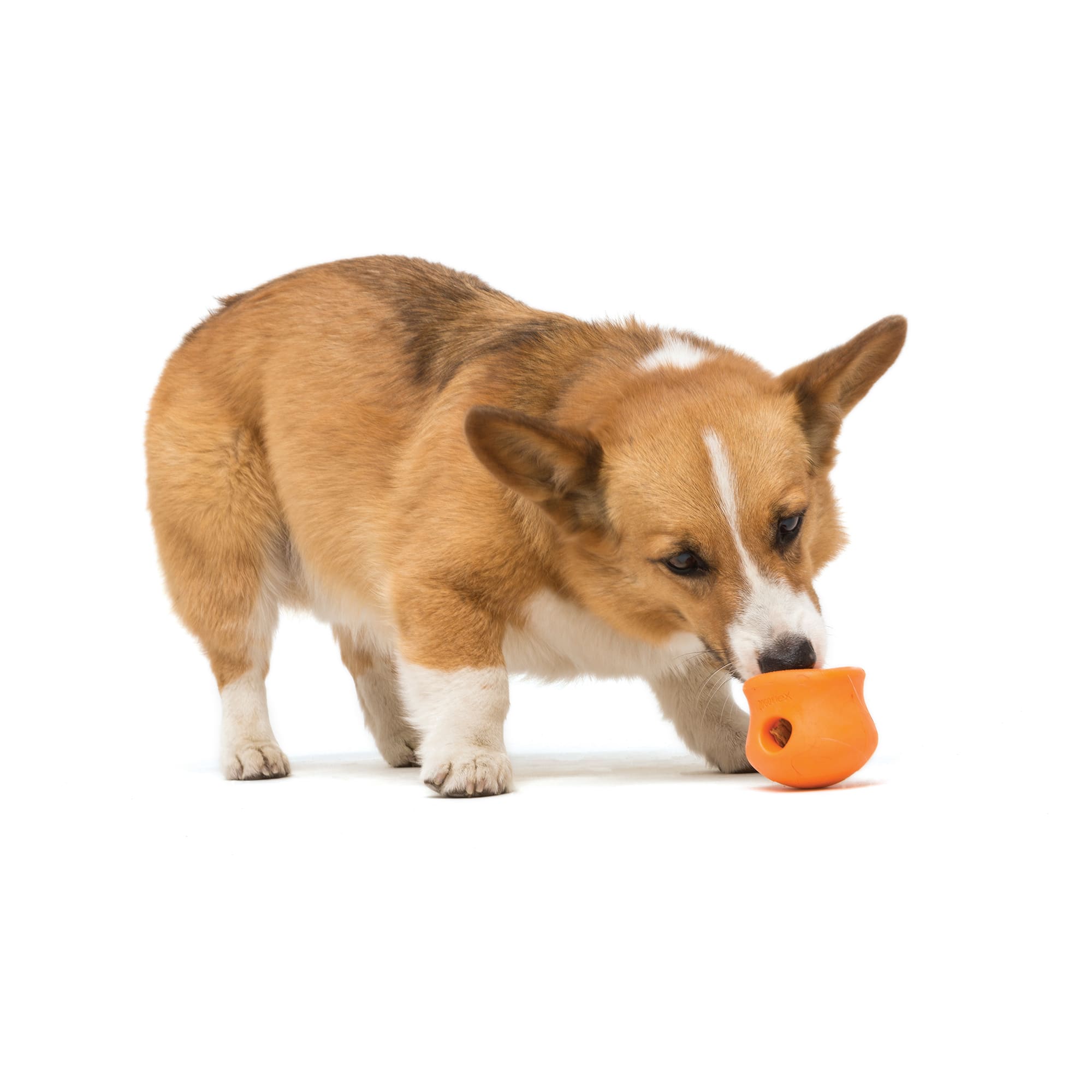 West Paw Toppl Assorted Color Dog Toy， Small