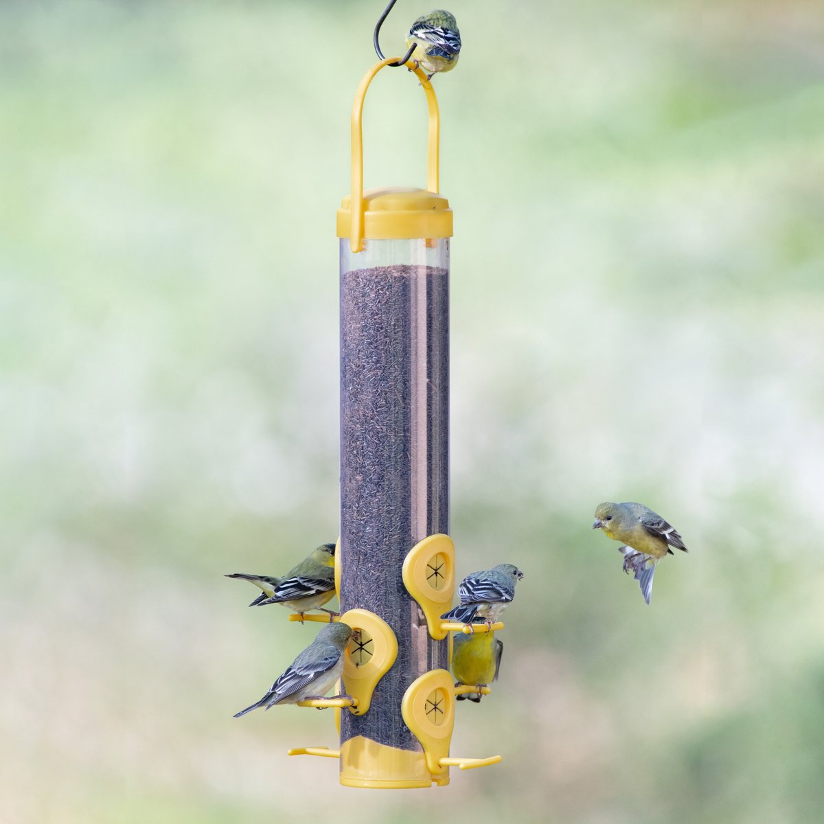 Perky-Pet Finch Wild Bird Feeder