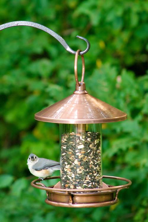 Good Directions Classic Perch Bird Feeder