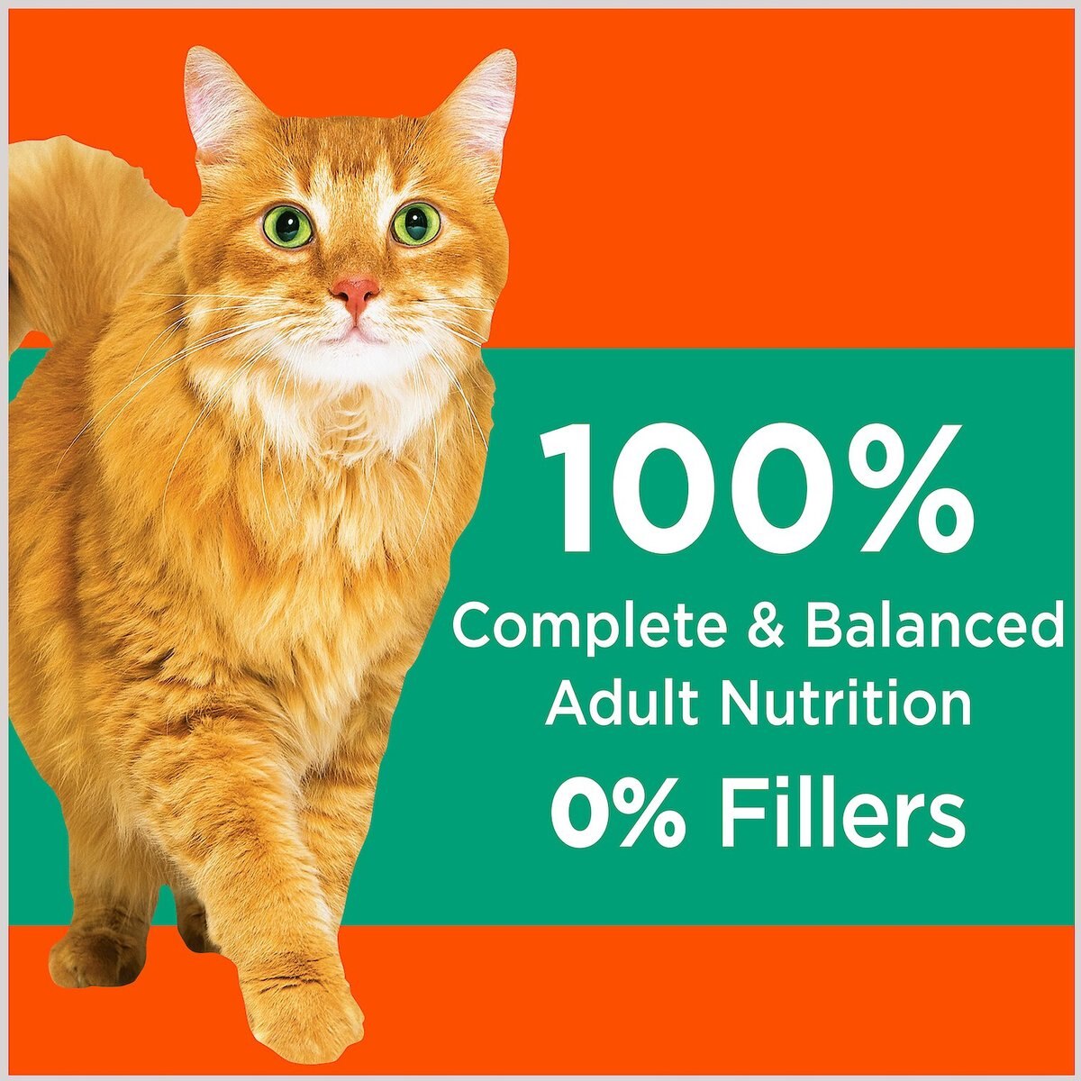 Iams ProActive Health Adult Hairball Care with Chicken and Salmon Dry Cat Food