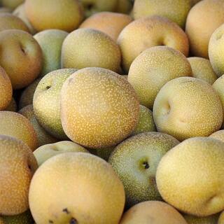Perfect Plants 5 Gal. Shinseiki Asian Pear Tree (2-Pack) THD00127