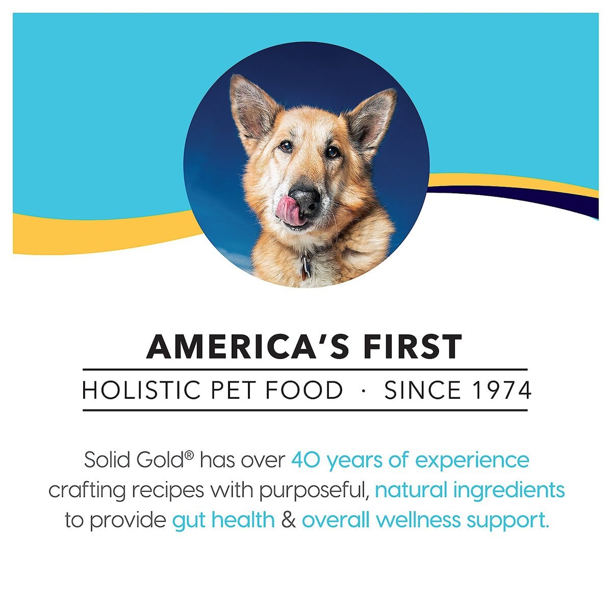 Solid Gold Wild Heart Sensitive Stomach Grain-Free Quail， Chickpea and Pumpkin Dry Dog Food