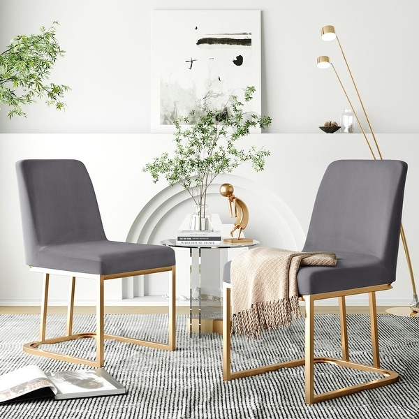 Modern Minimalist Velvet Dining Chairs Accent Chairs Set of 2