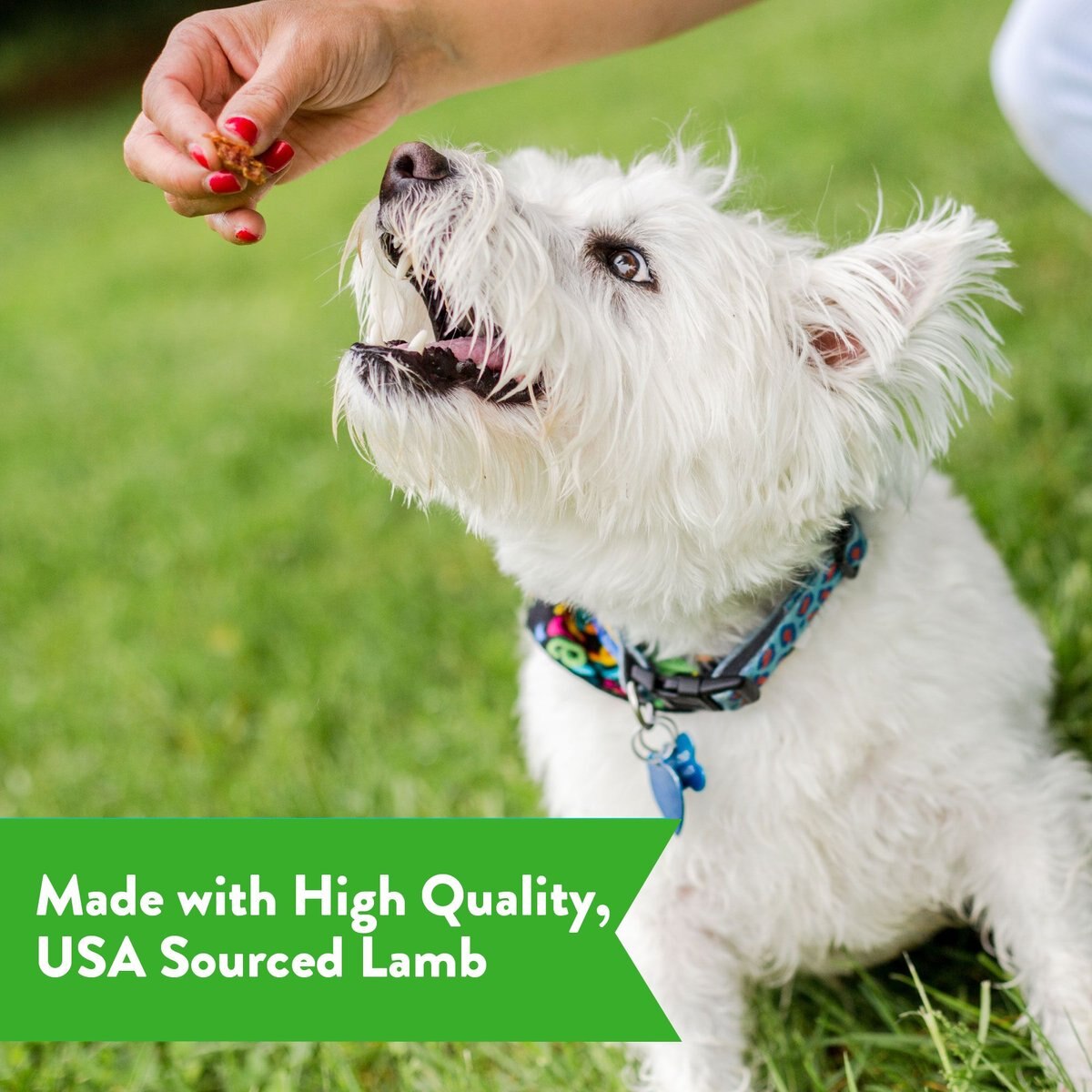 Dogswell Gut Health Lamb Recipe Jerky Dog Treats