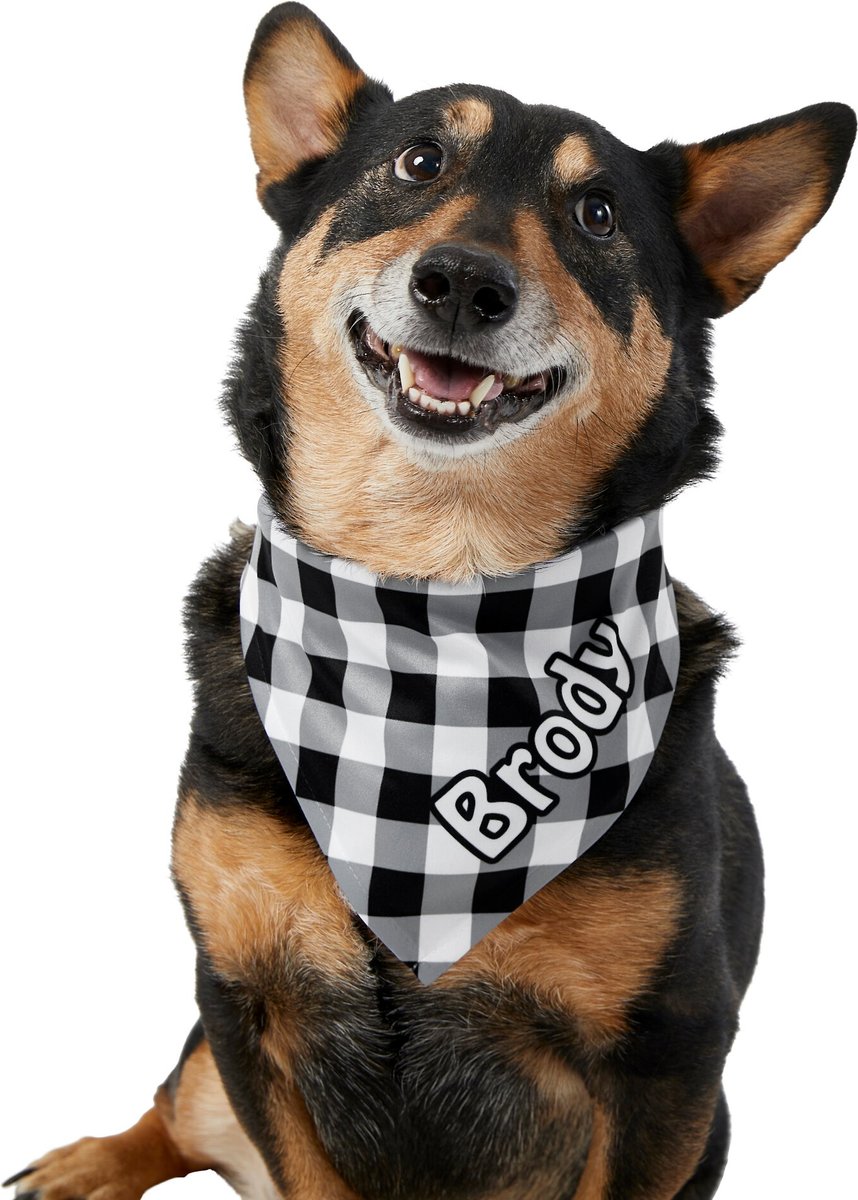 Frisco Gingham Personalized Dog and Cat Bandana