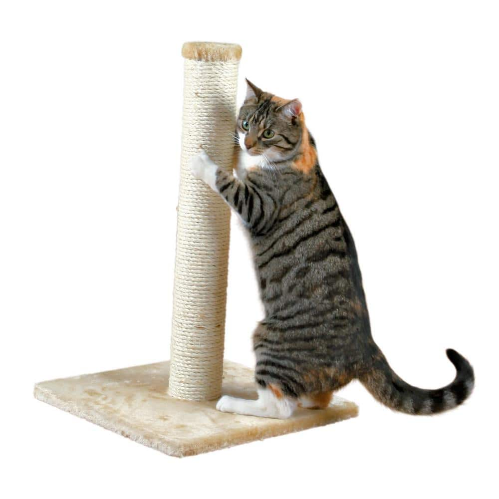 TRIXIE Parla Cat Scratching Post : For Indoor Cats : Plush Covered Base and Sisal Post : Beige : 24 inches Tall 43331