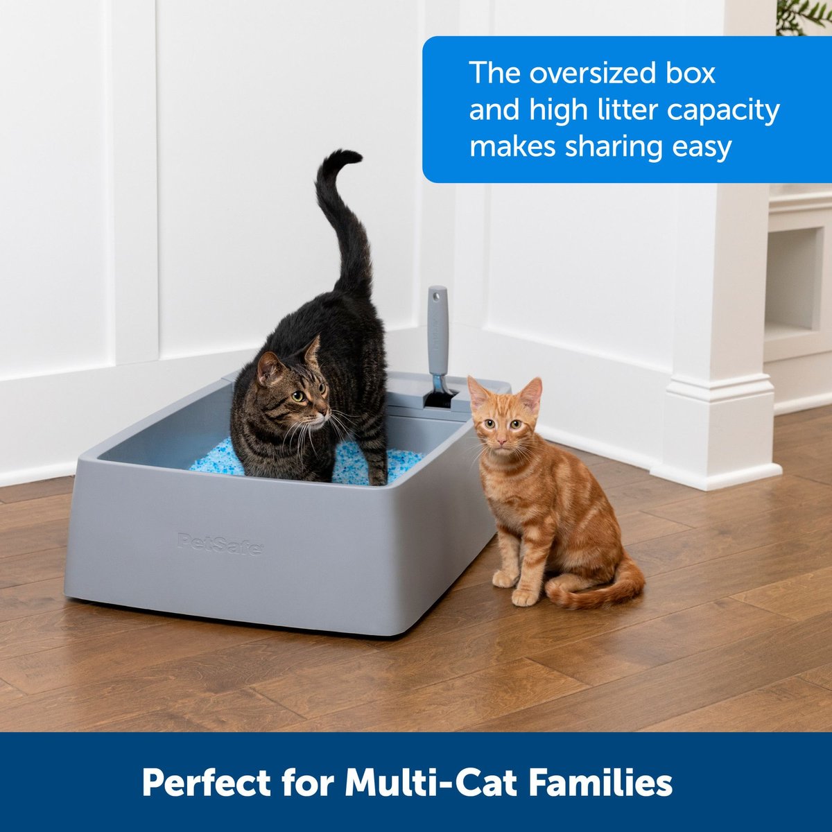 PetSafe Multi-Cat Litter Box