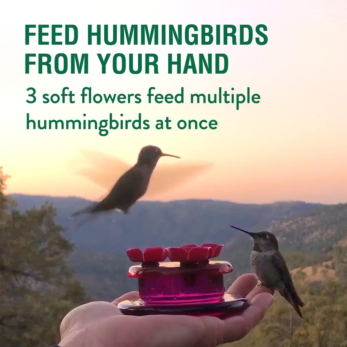 Perky-Pet Handheld and Tabletop Hummingbird Feeder