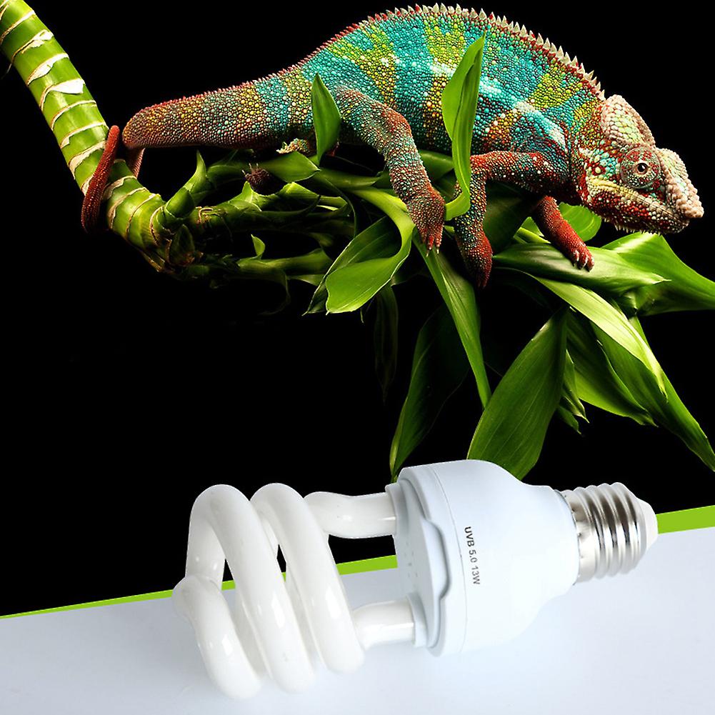 110v Uvb10.0 Energy Saving Lamp Ultraviolet Heat Preservation Light Bulb For Reptile Animal