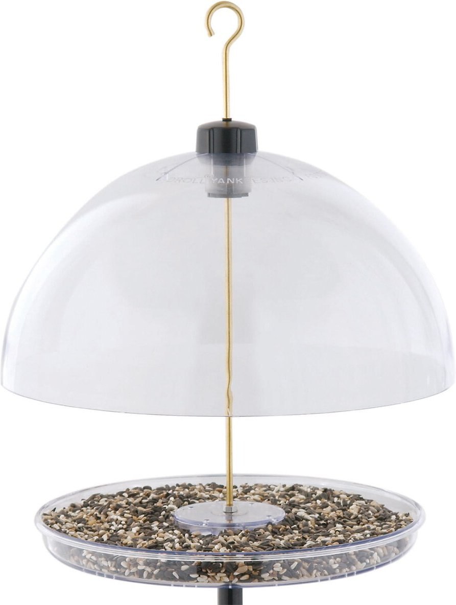 Droll Yankees Dorothy's Cardinal Domed Bird Feeder