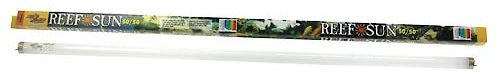 Zoo Med 50/50 Reef Sun T8 Fluorescent Aquarium Bulb