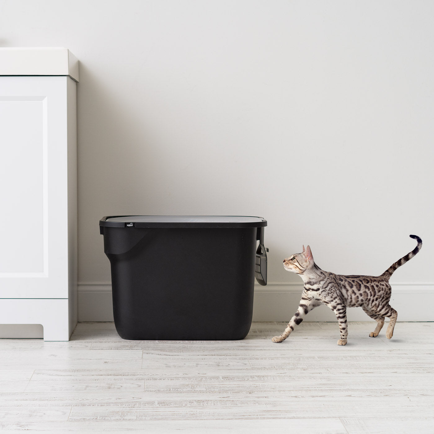 IRIS USA Top Entry Cat Litter Box with Scoop， Black