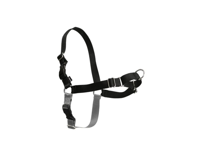 PetSafe Easy Walk Harness， No Pull Dog Harness， Medium， Black