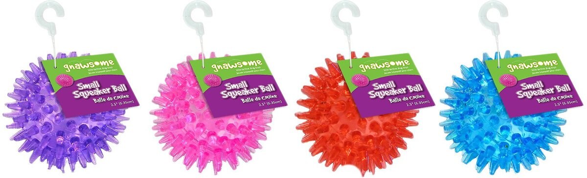 Gnawsome Squeaker Ball Dog Toy， Color Varies