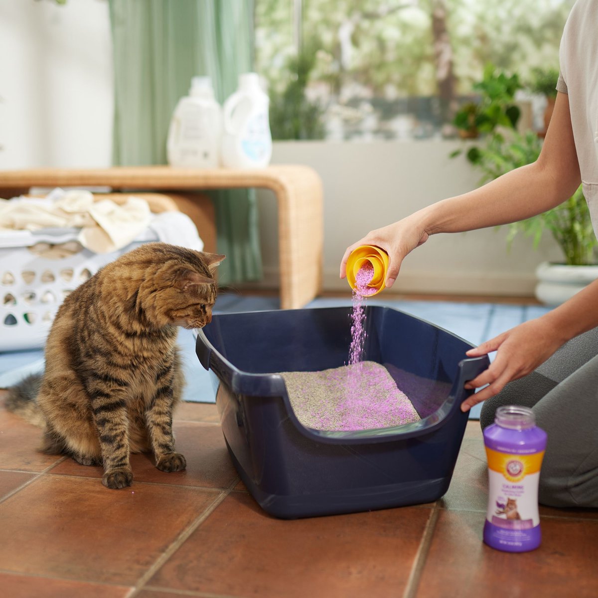 Arm and Hammer Litter Calming Crystals Cat Litter