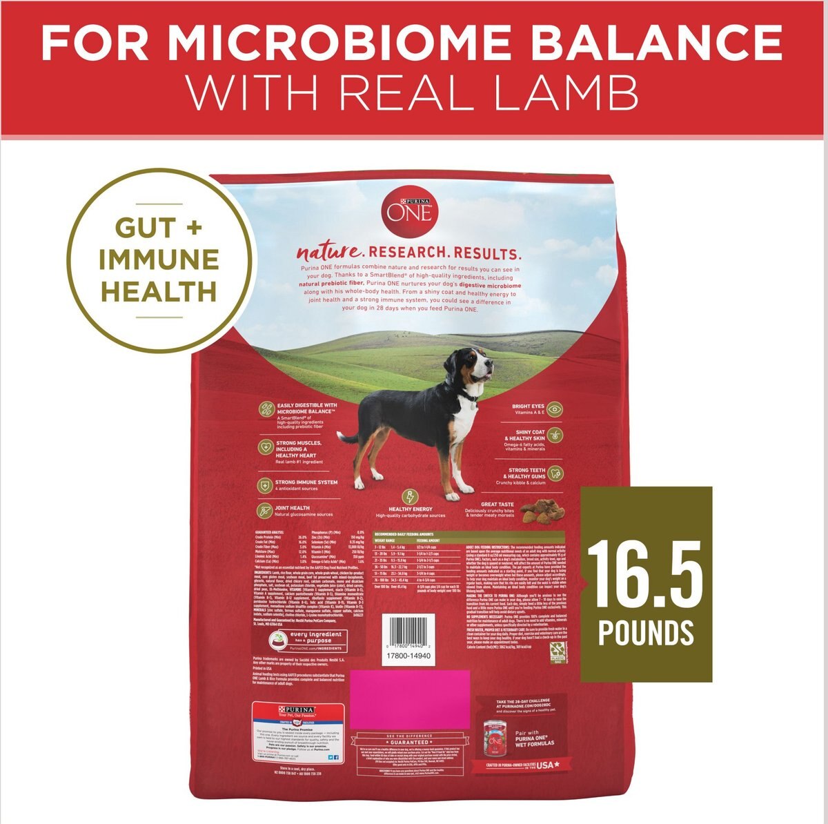 Purina ONE Natural SmartBlend Lamb and Rice Formula Dry Dog Food