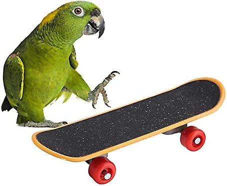 Bird Parrot Intelligence Toys Mini Training Skateboard For Budgies， Parakeet Cockatiel Lovebird Conure Small And Medium Bird Funny Perch Toy