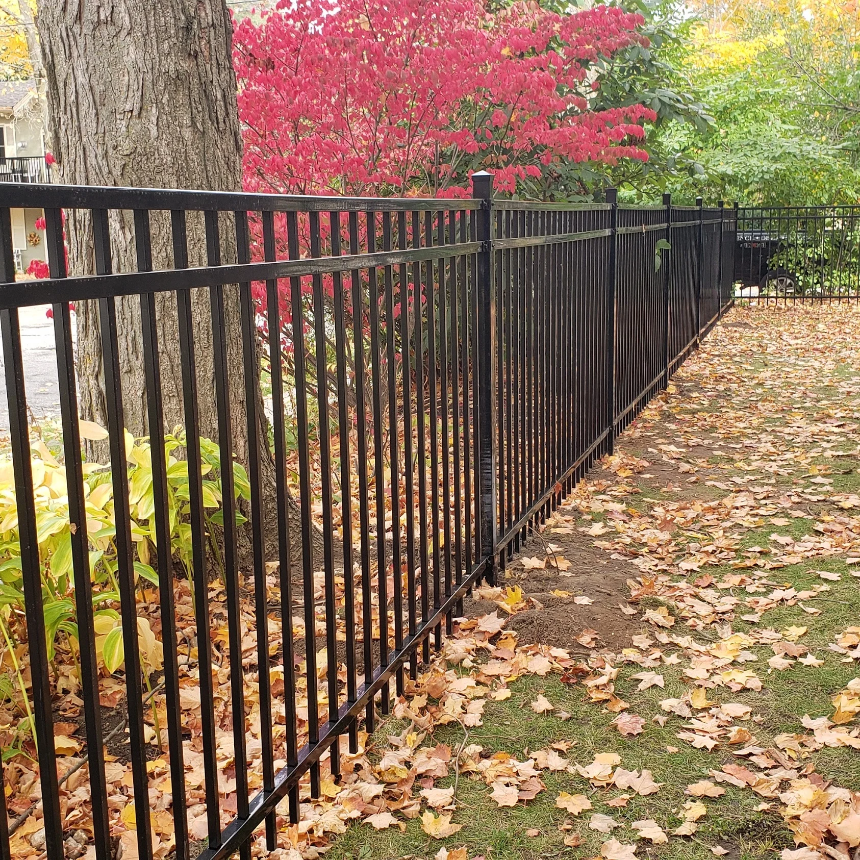 Garden Fencing Metal Steel Galvanized Iron Fence Panels