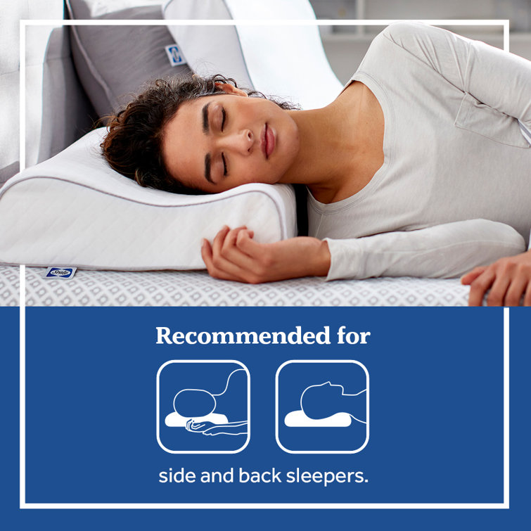 Sealy Essentials Contour Bed Pillow