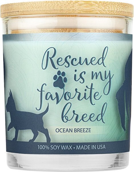 Pet House Ocean Breeze Natural Soy Sentiment Candle