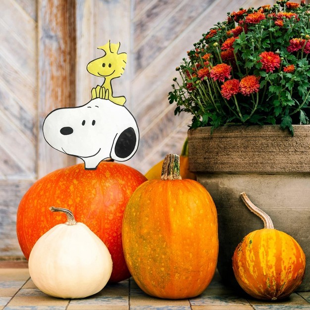 Peanuts 10 5in Snoopy And Woodstock Pumpkin Press in