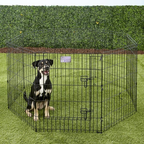 MidWest Wire Dog Exercise Pen with Step-Thru Door， Black E-Coat