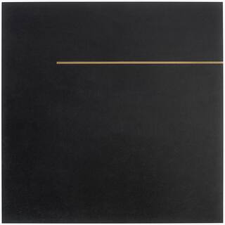 Ivy Hill Tile Stria Bar Black 23.62 in. x 23.62 in. Matte Porcelain Floor and Wall Tile (11.62 sq. ft.  Case) EXT3RD101568