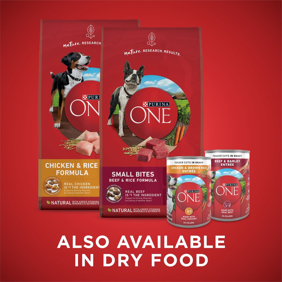 Purina ONE SmartBlend Tender Cuts in Gravy Variety Pack Wet Dog Food